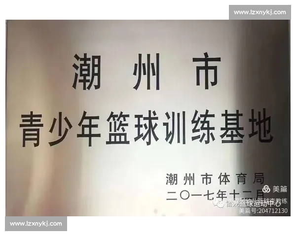 湖南启动篮球技能等级评定 系统化培育青少年人才